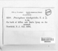 Image Associated With the Occurence